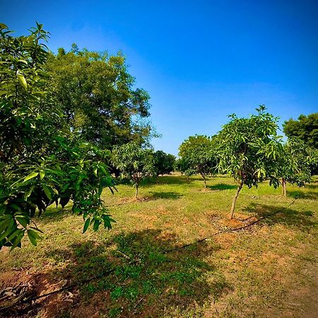 Mangohut Farmhouse Pool Villa Hyderabad Exterior photo