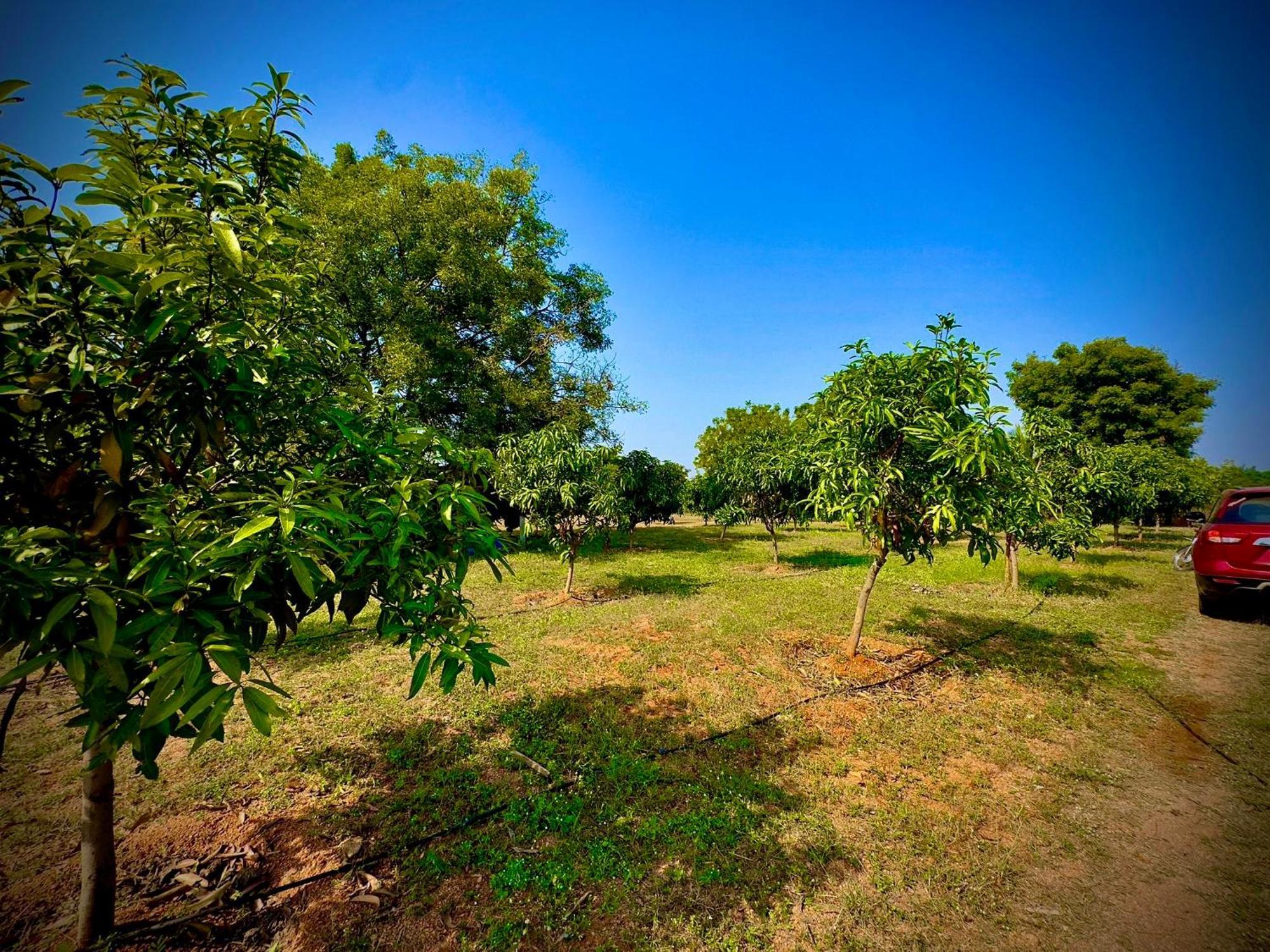 Mangohut Farmhouse Pool Villa Hyderabad Exterior photo