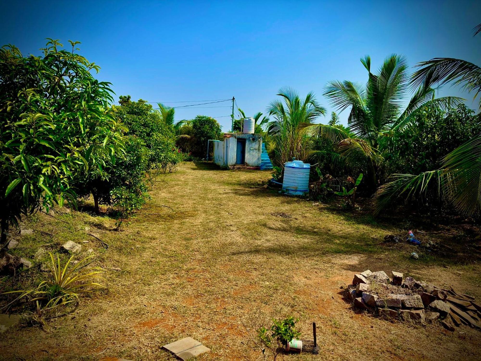Mangohut Farmhouse Pool Villa Hyderabad Exterior photo