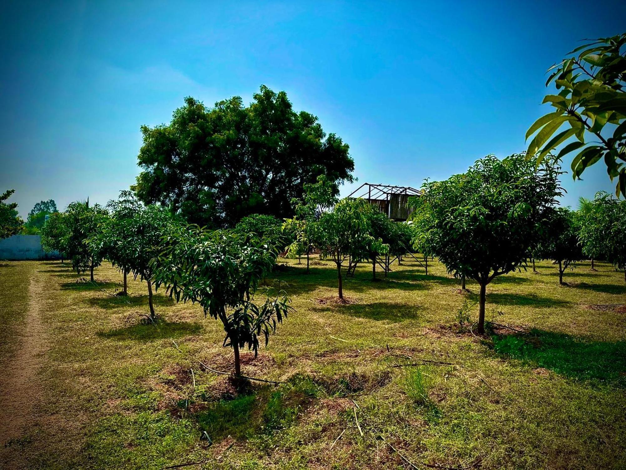 Mangohut Farmhouse Pool Villa Hyderabad Exterior photo